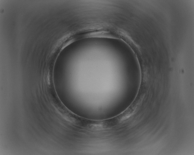 X0000074320068200608251311