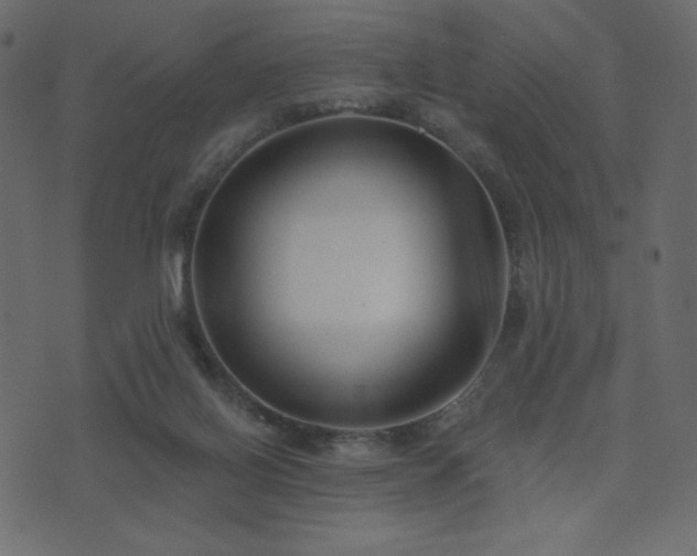 X0000074320070200608251311