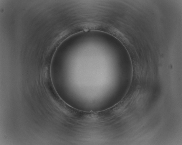 X0000074320071200608251311
