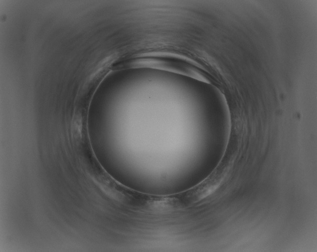 X0000074320072200608251311
