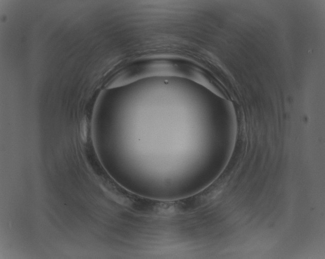 X0000074320076200608251311