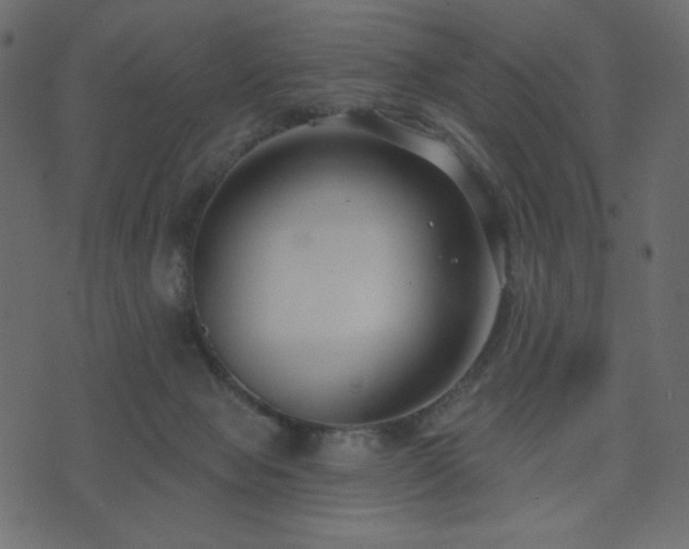 X0000074320077200608251311