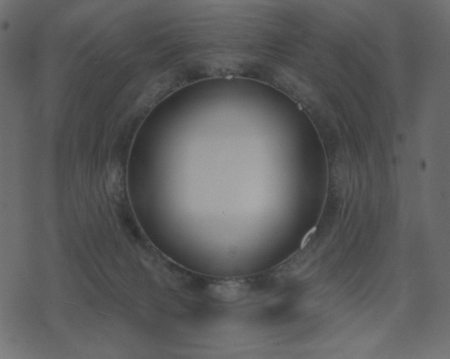 X0000074320079200608251311