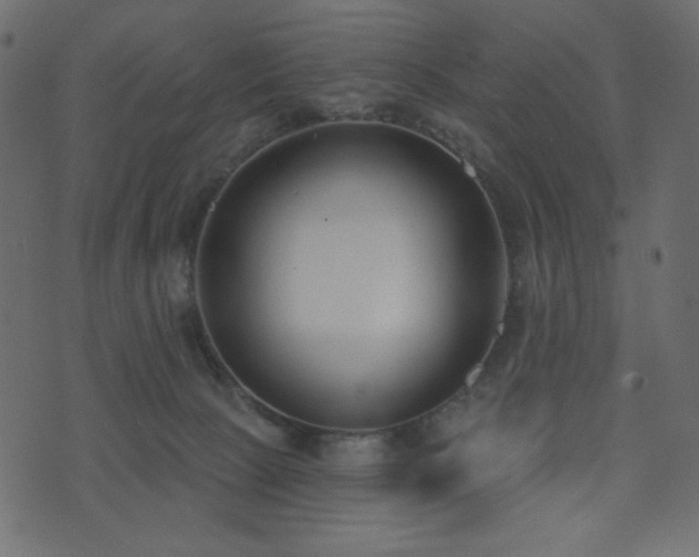 X0000074320081200608251311