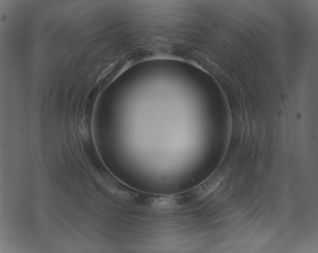 X0000074320088200608251311