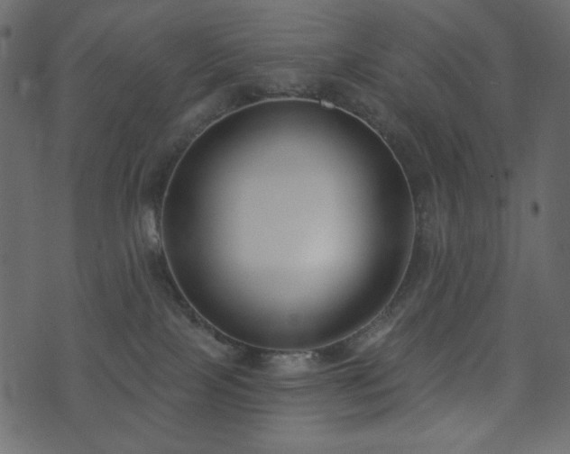 X0000074320089200608251311