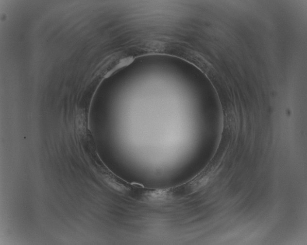 X0000074320092200608251311