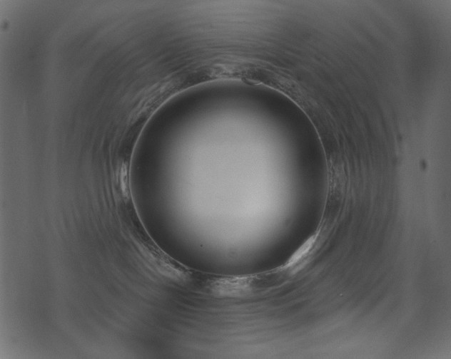 X0000074320094200608251311