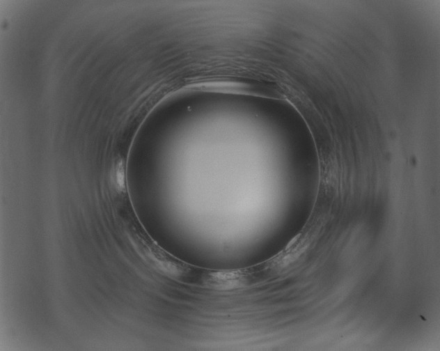 X0000074320095200608251311