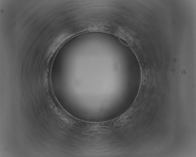 X0000074320098200608251311