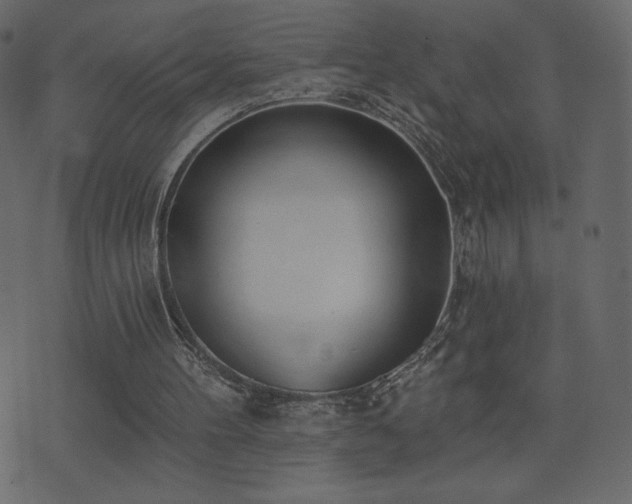 X0000074320100200608251311