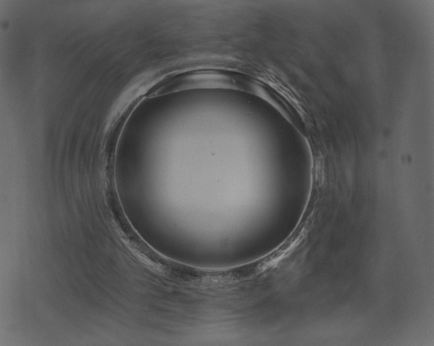 X0000074320101200608251311
