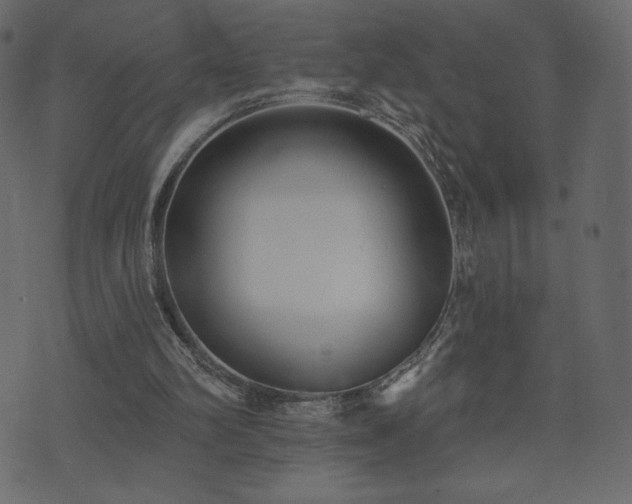 X0000074320102200608251311