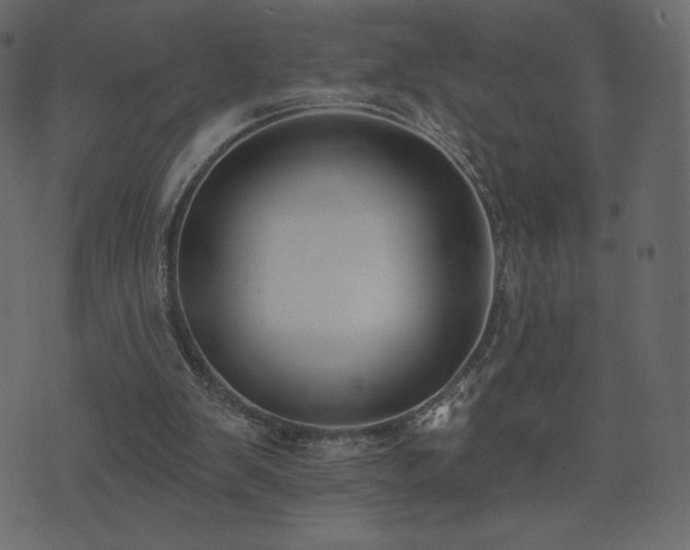 X0000074320103200608251311