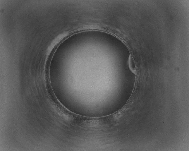 X0000074320104200608251311