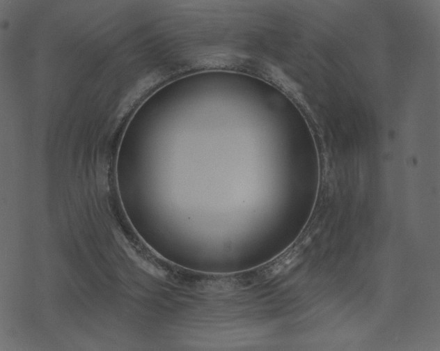 X0000074320106200608251311