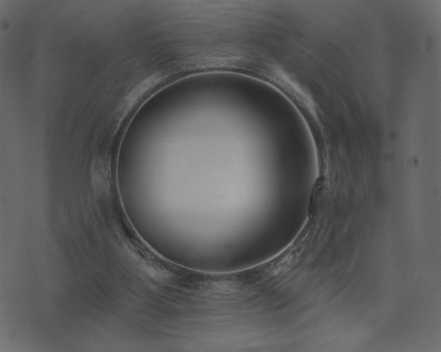 X0000074320107200608251311