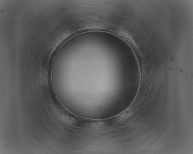 X0000074320108200608251311