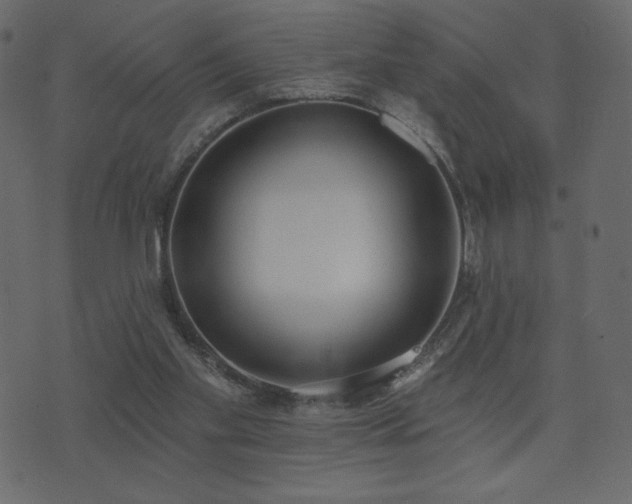 X0000074320109200608251310