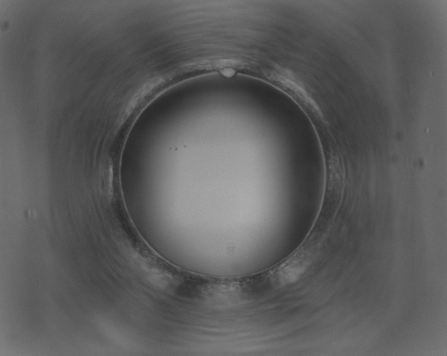 X0000074320110200608251310