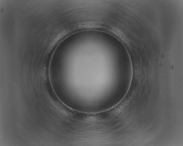 X0000074320111200608251310