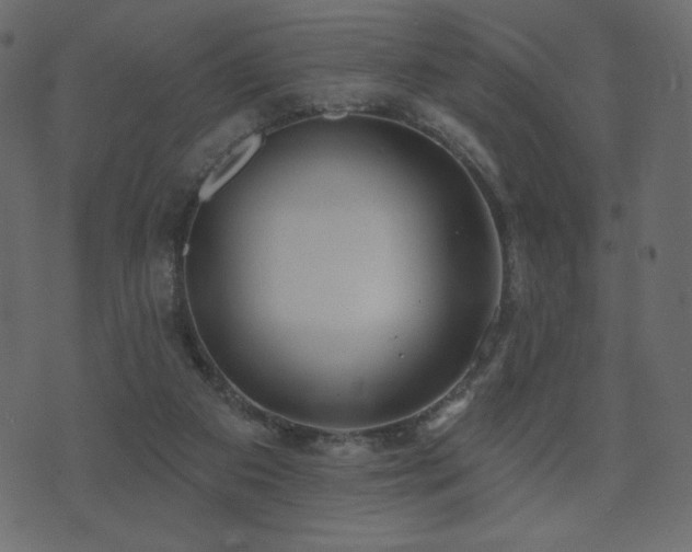 X0000074320113200608251310