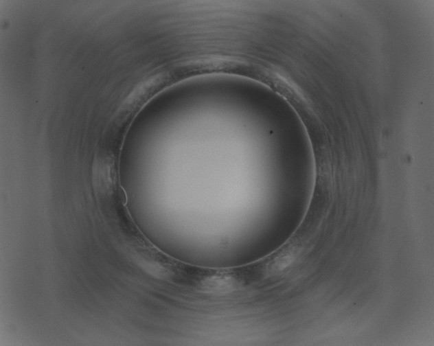 X0000074320119200608251310
