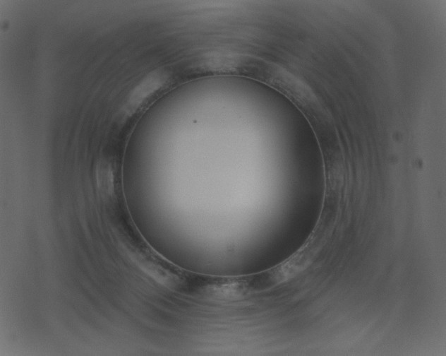 X0000074320120200608251310