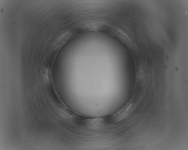 X0000074320122200608251310