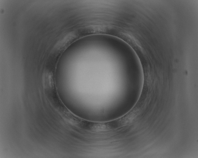 X0000074320123200608251310