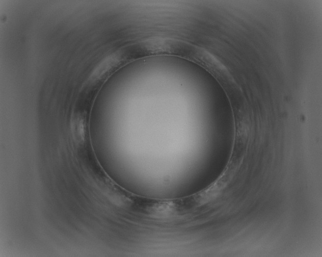 X0000074320124200608251310
