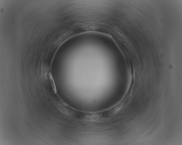 X0000074320125200608251310