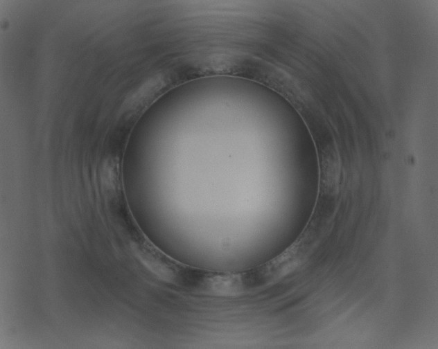 X0000074320126200608251310