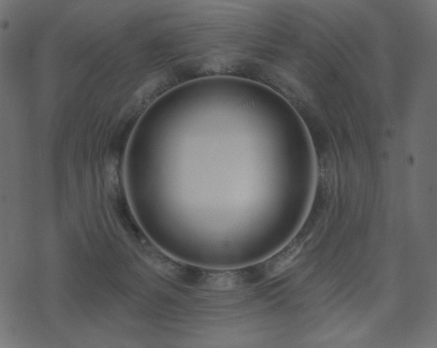 X0000074320127200608251310