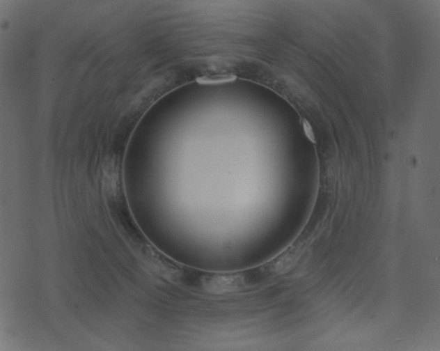 X0000074320129200608251310