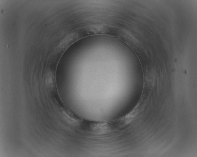 X0000074320132200608251310