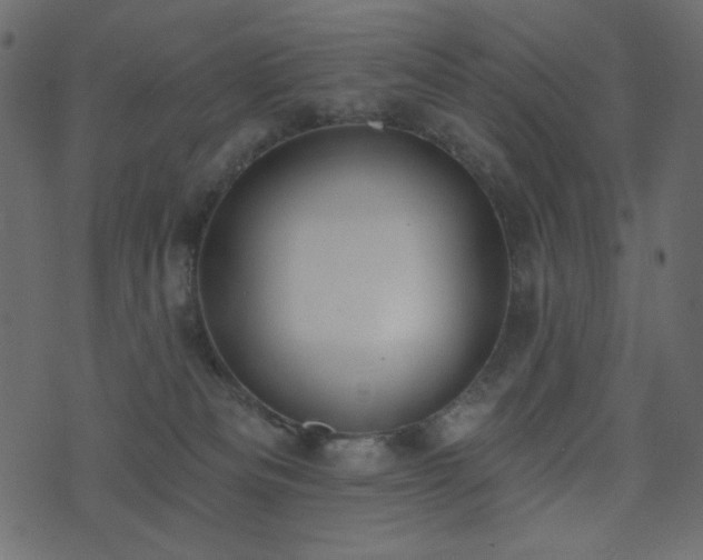 X0000074320133200608251310