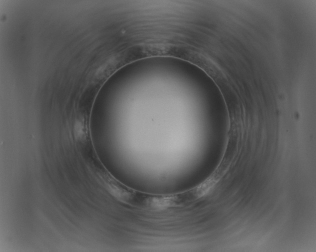 X0000074320134200608251310
