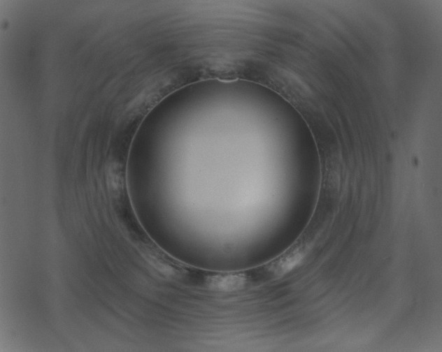 X0000074320135200608251310