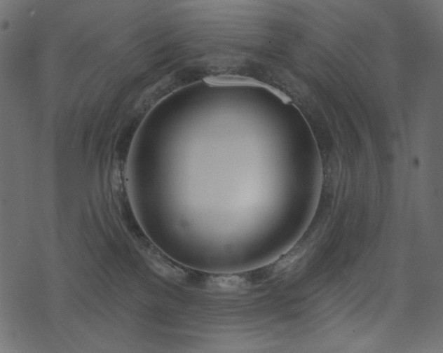X0000074320137200608251310