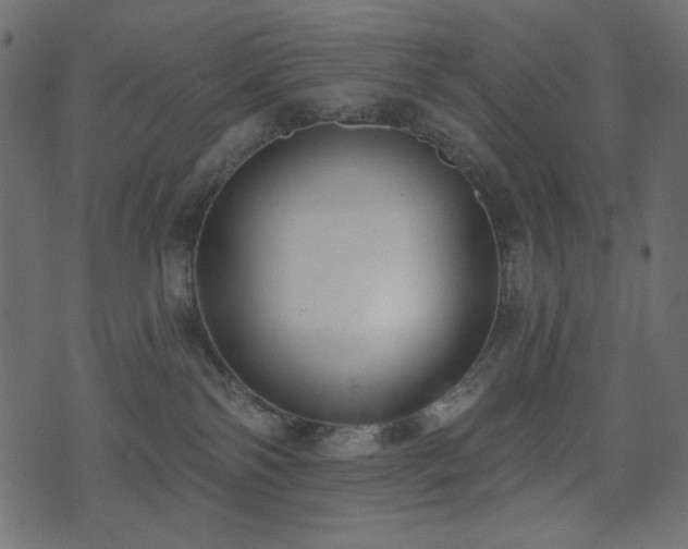 X0000074320138200608251310