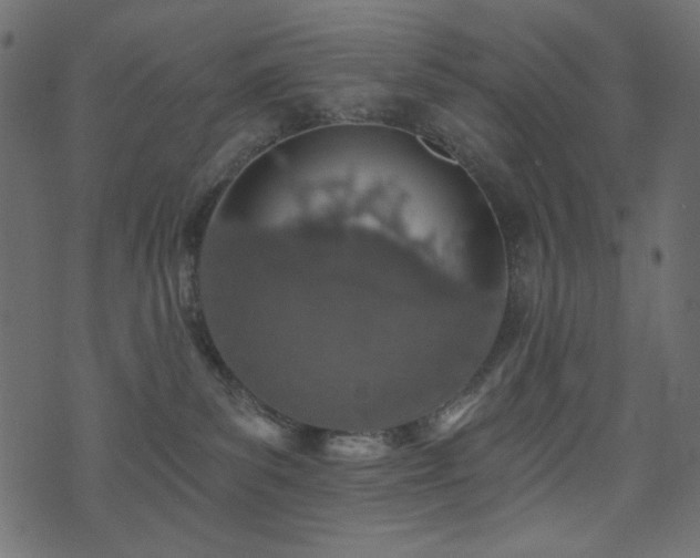 X0000074320139200608251310