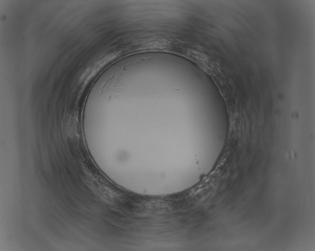 X0000074320146200608251309