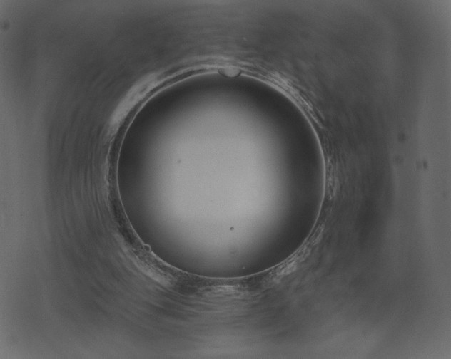 X0000074320151200608251309