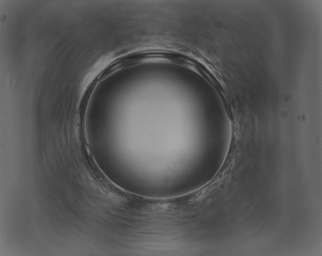 X0000074320152200608251309