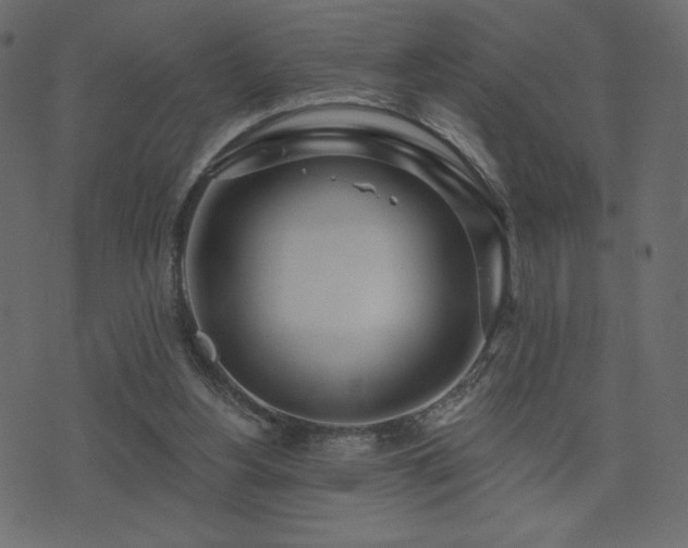 X0000074320156200608251309