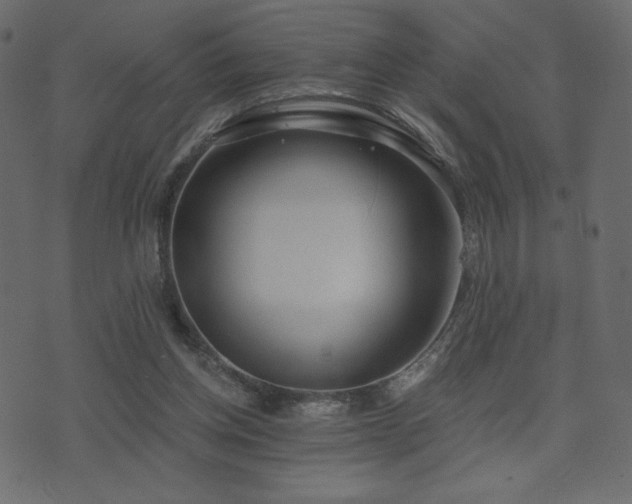 X0000074320158200608251309