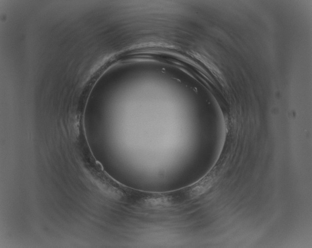 X0000074320160200608251309