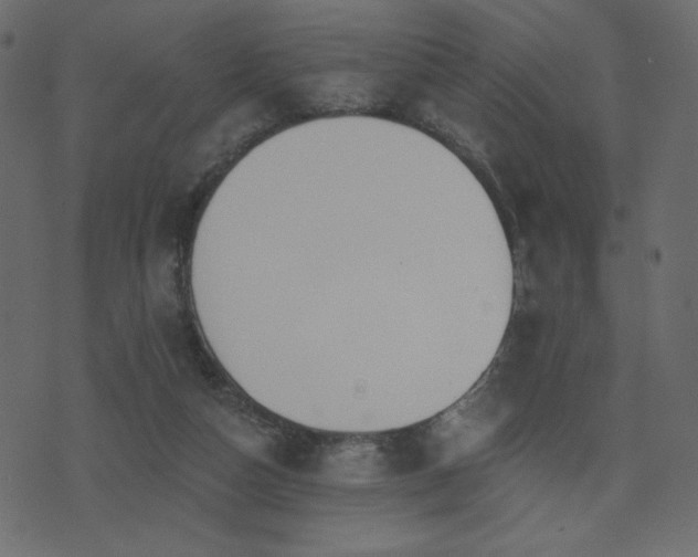 X0000074320162200608251309