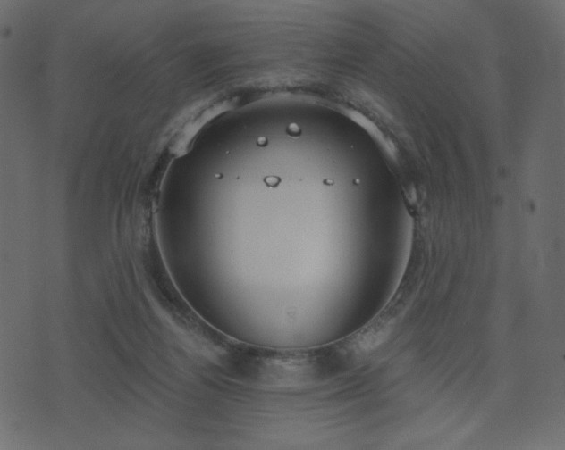 X0000074320164200608251309